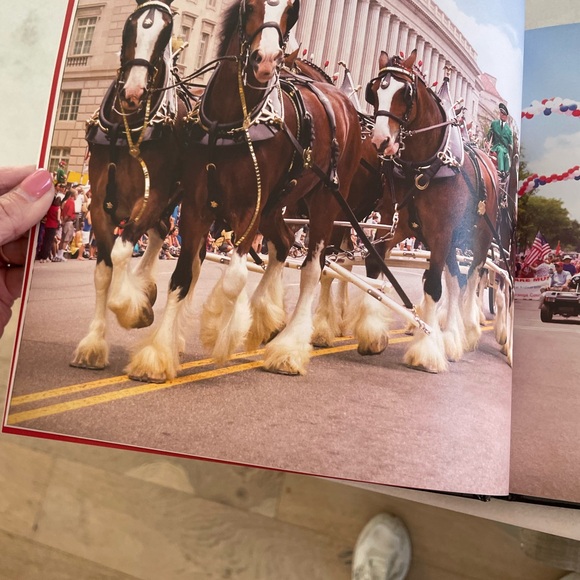 Budweiser Coffee Table Book - The Great American Tradition - Picture 6 of 15